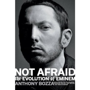 Not Afraid: The Evolution of Eminem