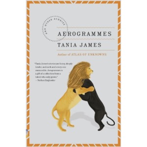 Aerogrammes (Vintage Contemporaries)