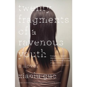 Twenty Fragments of a Ravenous Youth