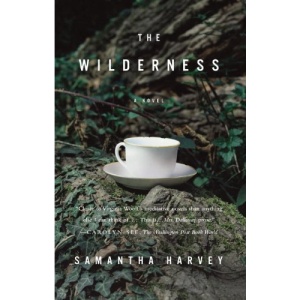 The Wilderness