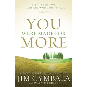 You Were Made for More: The Life You Have, the Life God Wants You to Have