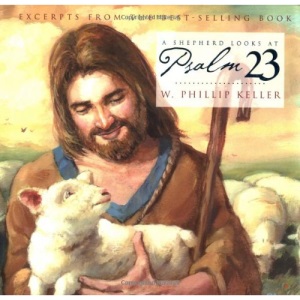 Shepherd Looks at Psalm 23