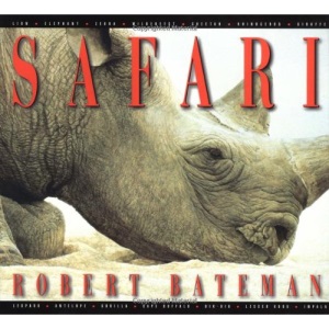Safari