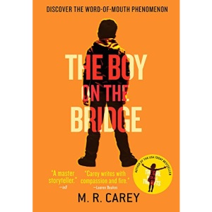 The Boy on the Bridge