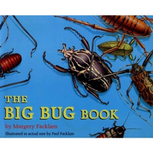 The Big Bug Book
