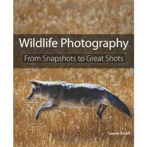Wildlife Photography: From Snapshots to Great Shots