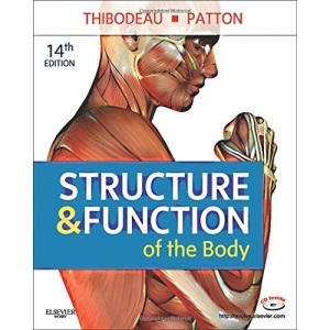 Structure & Function of the Body