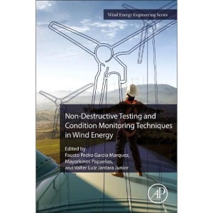 Non-Destructive Testing and Condition Monitoring Techniques in Wind Energy (Wind Energy Engineering)