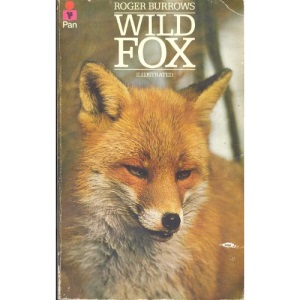 Wild Fox
