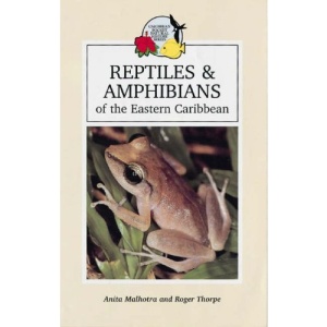 Reptiles and Amphibians of the Eastern Caribbean (Macmillan Caribbean Natural History)