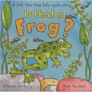 Is That a Frog?: A Lift-the-flap Life Cycle Story