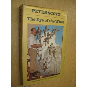 Eye of the Wind