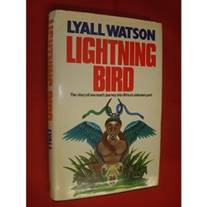 Lightning Bird