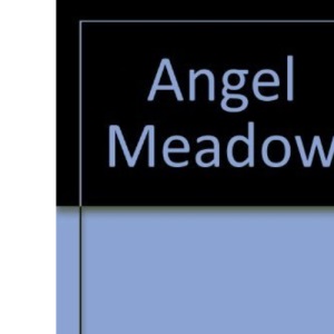 Angel Meadow