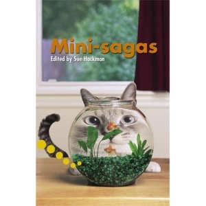 Mini Sagas: Pupil Book Level 2-3 Readers (Hodder Reading Project)