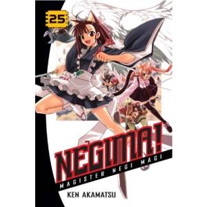 Negima!, Volume 25: Magister Negi Magi (Negima!: Magister Negi Magi)