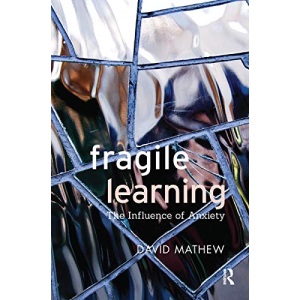 Fragile Learning: The Influence of Anxiety
