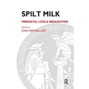Spilt Milk: Perinatal Loss and Breakdown (Psychoanalytic Ideas)