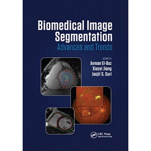 Biomedical Image Segmentation: Advances and Trends