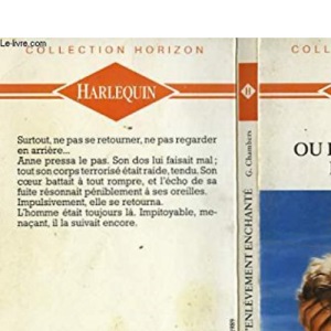 Firefly in the Night