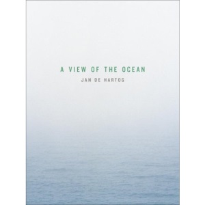 A View of the Ocean
