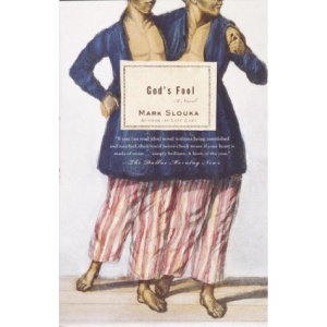 God's Fool (Vintage Contemporaries)