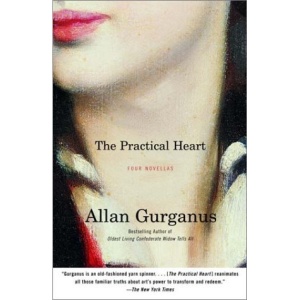 Practical Heart, the (Vintage Contemporaries (Paperback))