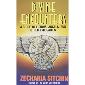 Divine Encounters: A Guide to Visions, Angels, and Other Emissaries (Earth Chronicles)