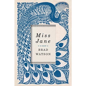 Miss Jane: A Novel