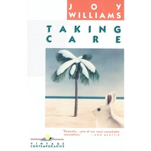 Taking Care (Vintage Contemporaries)