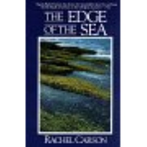 The Edge of the Sea