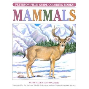 Field Guide to Mammals: Colouring Book (Peterson Field Guides)
