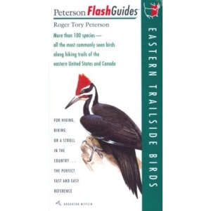 EasternMountain Birds (Peterson FlashGuides)