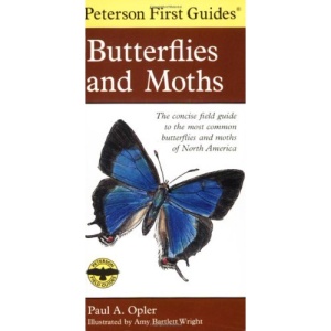 Peterson First Guide to Butterflies and Moths (Pertsons First Guides)