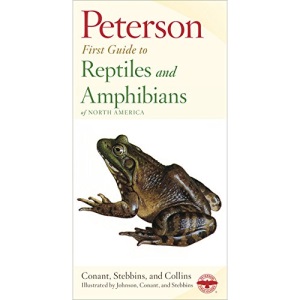 Reptiles and Amphibians (Peterson first guides)