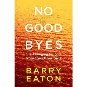 No Goodbyes: Life-Changing Insights from the Other Side