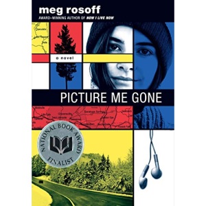 Picture Me Gone