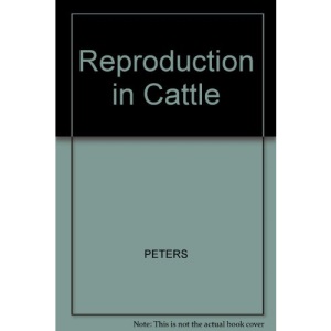 Reproduction in Cattle