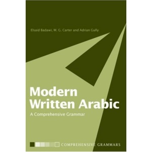 Modern Written Arabic: A Comprehensive Grammar (Comprehensive Grammars)