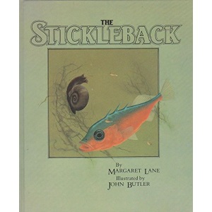 The Stickleback