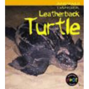 Animals in Danger: Leatherback Turtle (Cased)