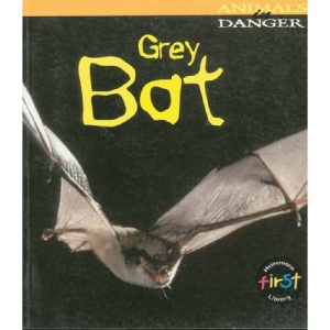 Grey Bat (Animals in Danger)