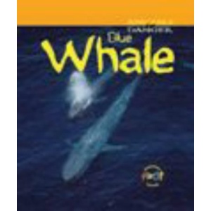 Animals Danger: Blue Whale Paperback (Animals In Danger)