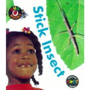 Bug Books: Stick Insect Paperback