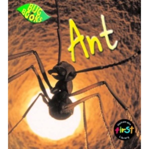 Ant  (Bug Books)