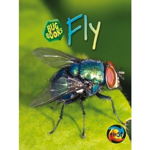 Fly (Bug Books)