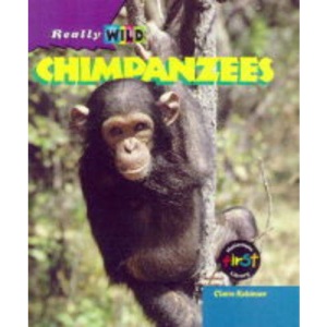 Chimpanzees (Really Wild)