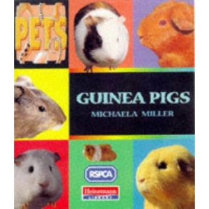 Guinea Pigs (Pets)