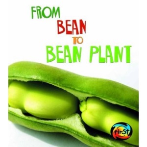 From Bean to Bean Plant (Young Explorer: How Living Things Grow)