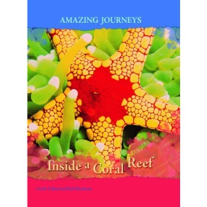 Inside a Coral Reef (Amazing Journeys)
